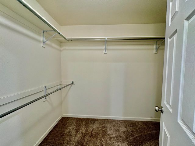 3117 Swan Point Dr, Evans, CO 80620