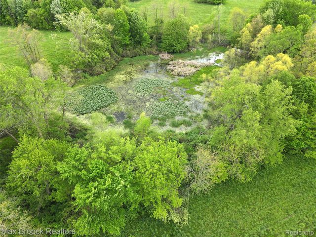 58282 SAVAGE Road, Newberg Township, MI 49095