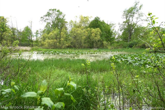 58282 SAVAGE Road, Newberg Township, MI 49095