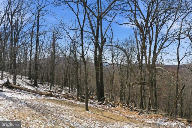 1629 DAHLGREN RD, Middletown, MD 21769