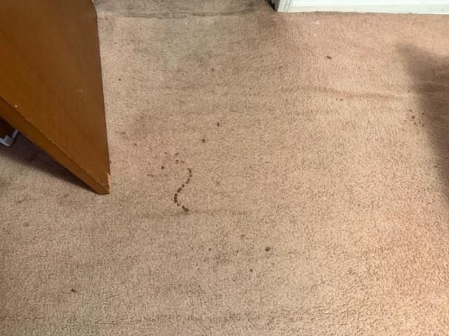 4841 OLDS AVE, Memphis, TN 38128