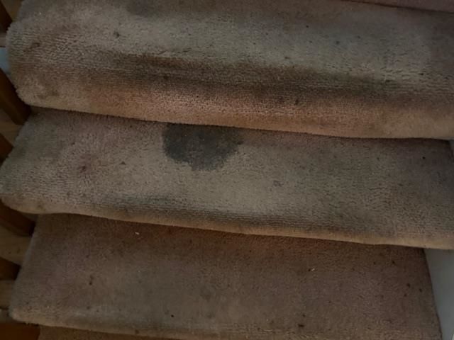 4841 OLDS AVE, Memphis, TN 38128