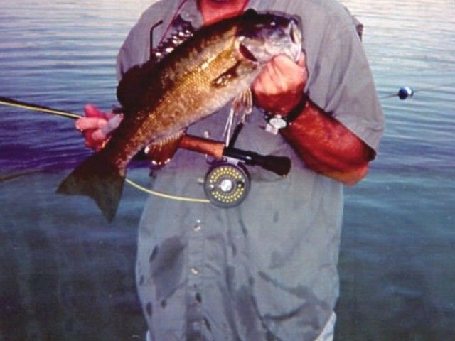 152 Beachview Court, Varna, IL 61375