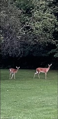 5464 N Seymour Road, Flushing, MI 48433