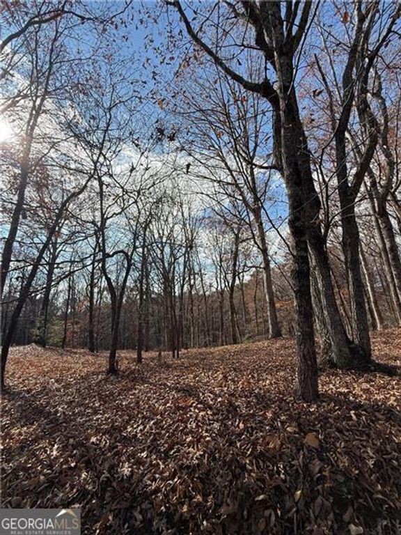 0 Orchard Road, Jasper, GA 30143