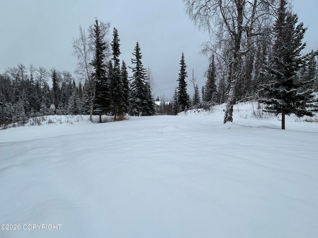 38820 Retriever Avenue, Soldotna, AK 99669