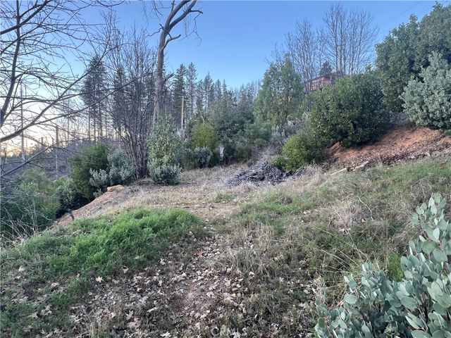 16709 Starview Loop, Cobb, CA 95426