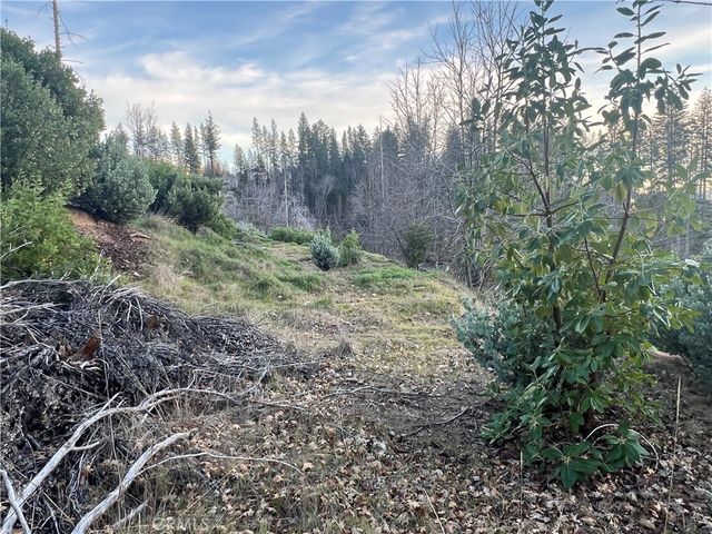 16709 Starview Loop, Cobb, CA 95426