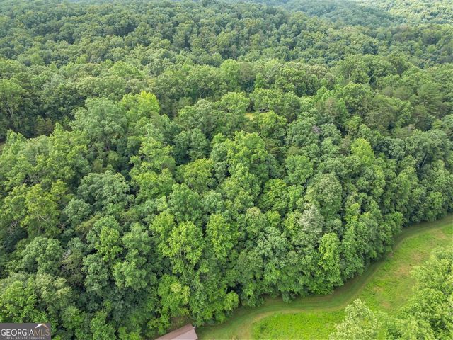 0 Long Branch Road, Dahlonega, GA 30533