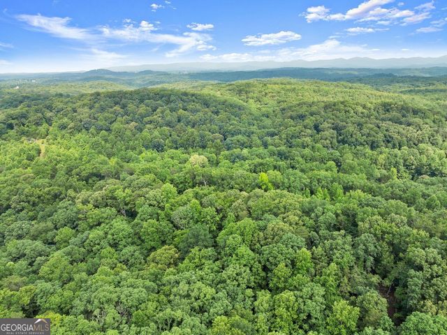 0 Long Branch Road, Dahlonega, GA 30533