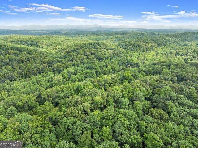 0 Long Branch Road, Dahlonega, GA 30533