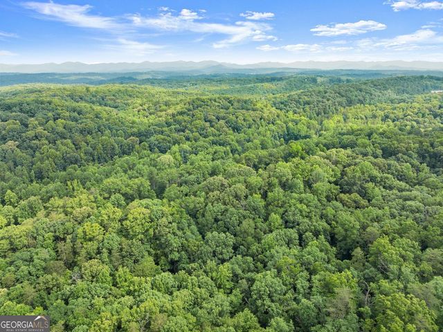 0 Long Branch Road, Dahlonega, GA 30533