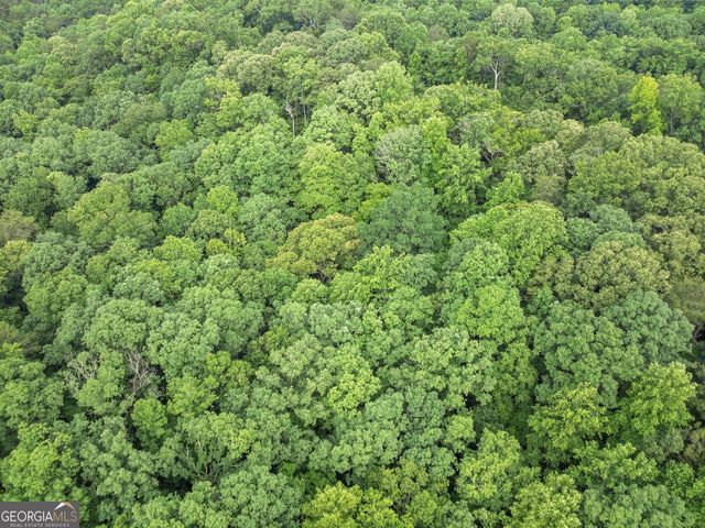 0 Long Branch Road, Dahlonega, GA 30533