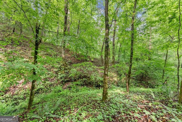 0 Long Branch Road, Dahlonega, GA 30533