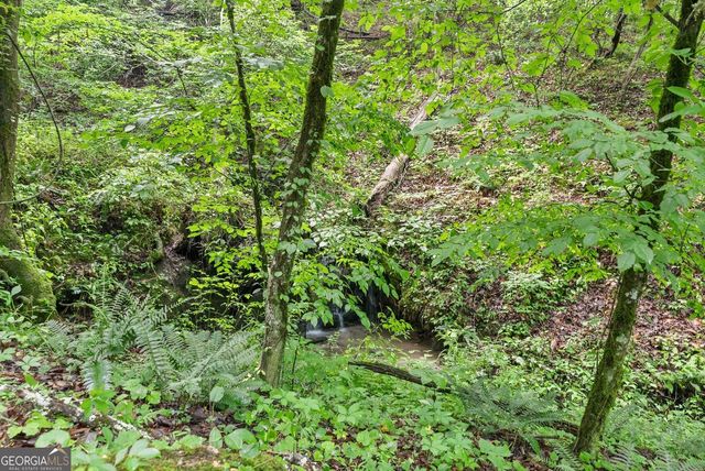0 Long Branch Road, Dahlonega, GA 30533