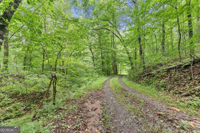 0 Long Branch Road, Dahlonega, GA 30533