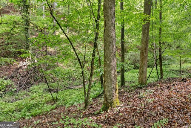 0 Long Branch Road, Dahlonega, GA 30533