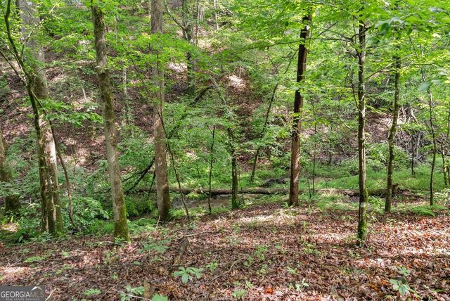 0 Long Branch Road, Dahlonega, GA 30533
