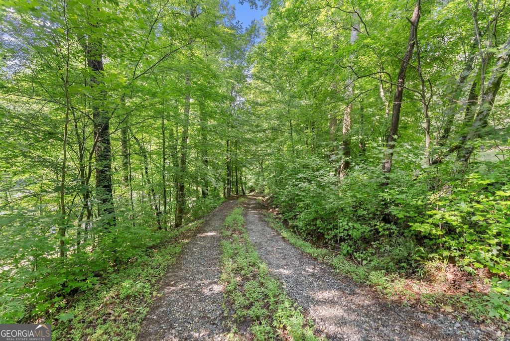 0 Long Branch Road, Dahlonega, GA 30533