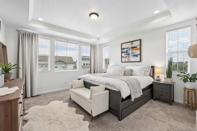 3726 Outcrop Court, Castle Rock, CO 80108