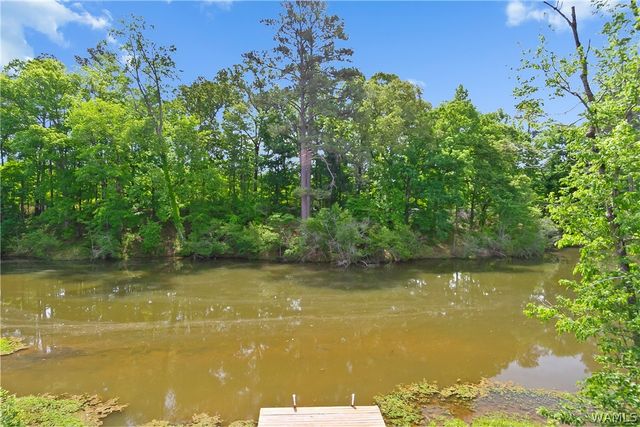 14148 River Point Cir, Tuscaloosa, AL 35405