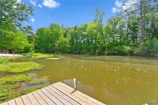 14148 River Point Cir, Tuscaloosa, AL 35405