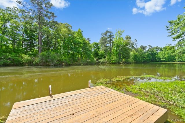 14148 River Point Cir, Tuscaloosa, AL 35405
