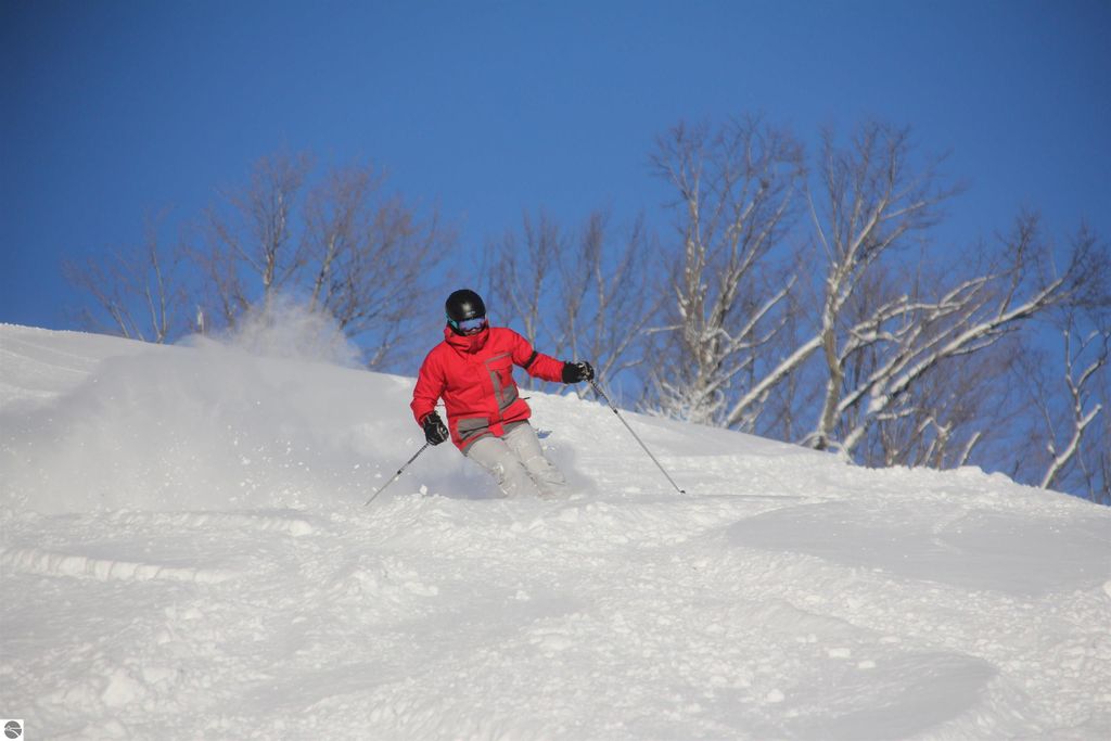 Image 17 of property listing at 12400-Unit 176 Crystal Mountain Drive # 176, Thompsonville, MI 49683