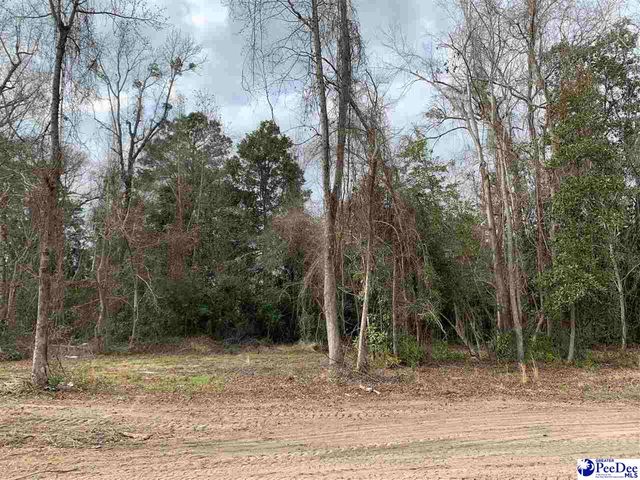 7423 E National Cemetery Road, Florence, SC 29506