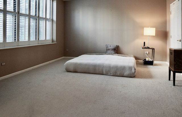 55 W Delaware Place 221, Chicago, IL 60610