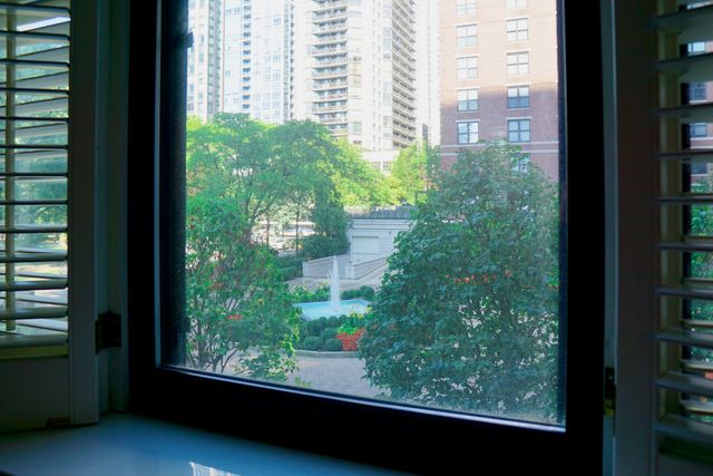 55 W Delaware Place 221, Chicago, IL 60610