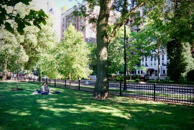 55 W Delaware Place 221, Chicago, IL 60610