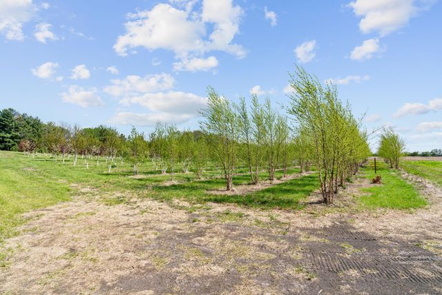 22901 Oakdale Drive, Corcoran, MN 55374