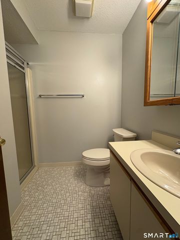 80 Little Oak Lane 80, Rocky Hill, CT 06067