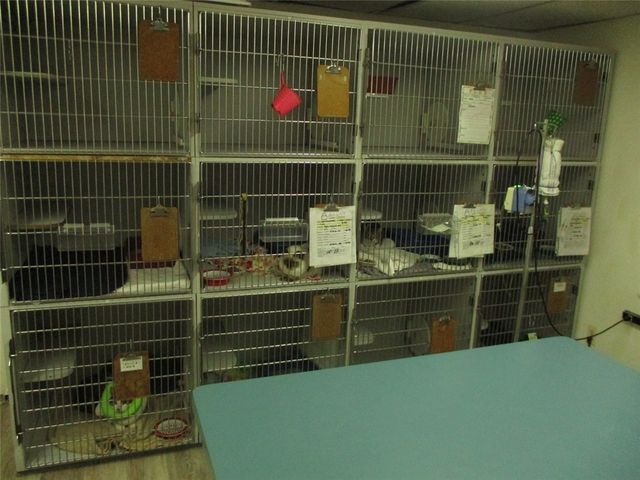 729 Ridge Road, Webster, NY 14580