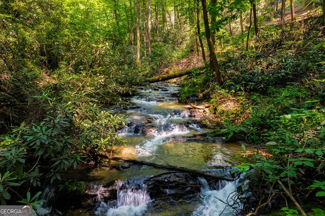 122 Laurel Creek Trail, Cherry Log, GA 30522