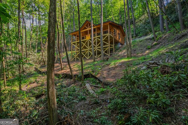 122 Laurel Creek Trail, Cherry Log, GA 30522