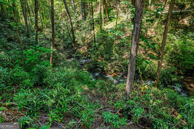 122 Laurel Creek Trail, Cherry Log, GA 30522