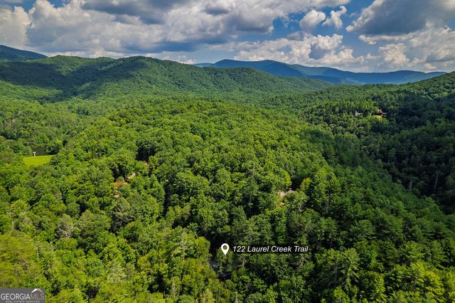 122 Laurel Creek Trail, Cherry Log, GA 30522