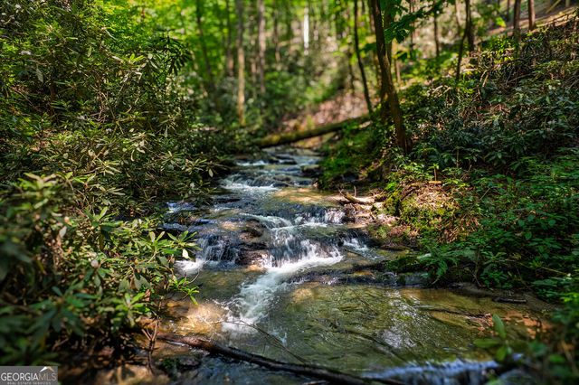 122 Laurel Creek Trail, Cherry Log, GA 30522