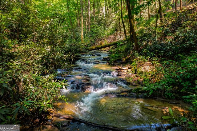 122 Laurel Creek Trail, Cherry Log, GA 30522