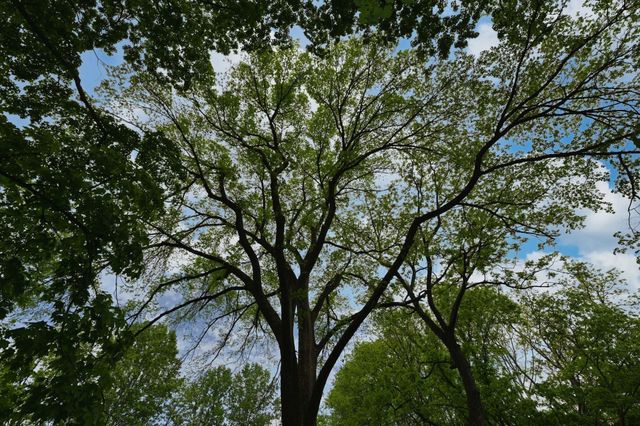 4411 Jackson Rd, Goodlettsville, TN 37072