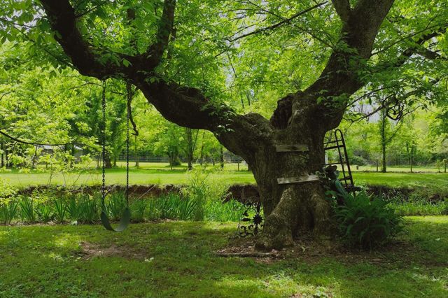 4411 Jackson Rd, Goodlettsville, TN 37072