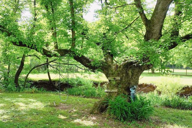 4411 Jackson Rd, Goodlettsville, TN 37072