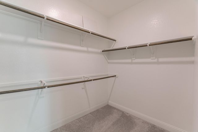 17116 Coneflower Place, Conroe, TX 77385