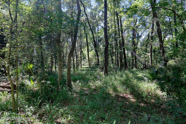 106 Barnaby Bluff, Seabrook, SC 29940