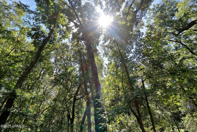 106 Barnaby Bluff, Seabrook, SC 29940