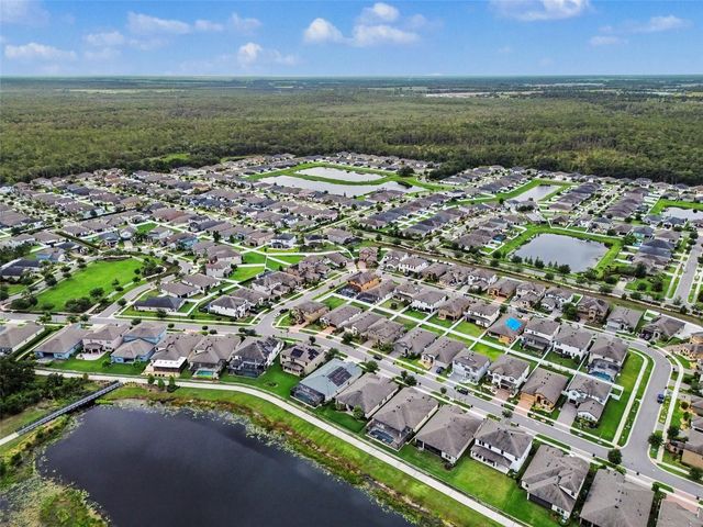13116 FOXTAIL FERN DRIVE, Riverview, FL 33579