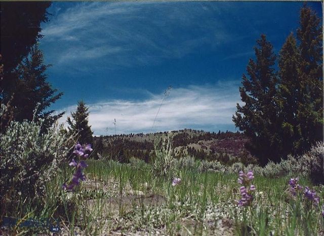 TBD Lookout Trail, Ramsay, MT 59701