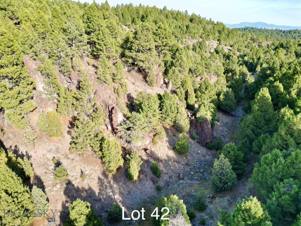 TBD Lookout Trail, Ramsay, MT 59701 photo 11